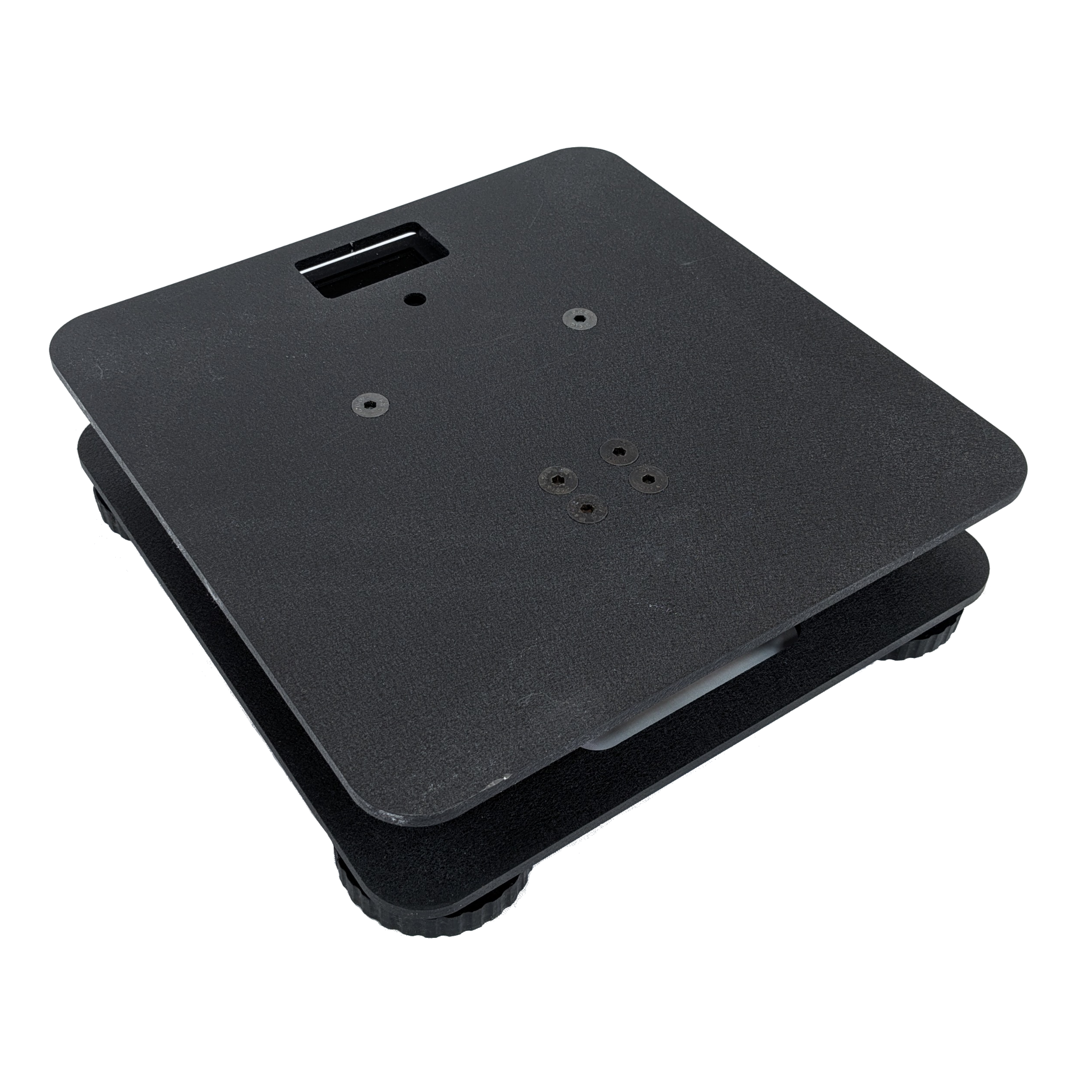 Electronic Scale